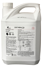 Liquide dsinfectant Oxy'Health (5L)