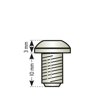 ECROU VALVE PL TPMS         (10)